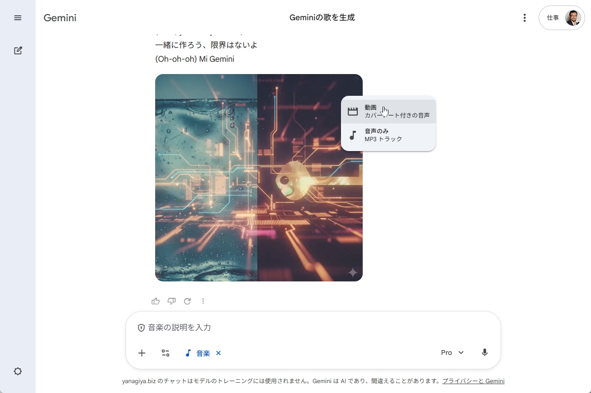 動画または音楽のみのダウンロード選択画面
